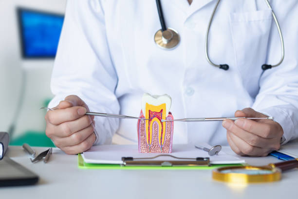 Best Emergency Treatment for Dental Infections or Abscesses in Ulysses, KS
